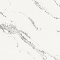 Плитка Graniti Fiandre Marble Lab Calacatta Bellissimo Honed 60x60 см, поверхность полуматовая