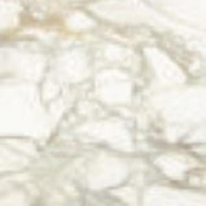 Graniti Fiandre Marmi Maximum Calacatta Dorato Honed 150x150