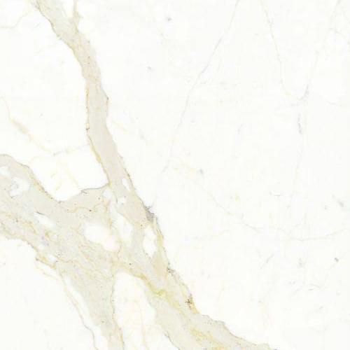 Graniti Fiandre Marmi Maximum Calacatta Honed 100x100