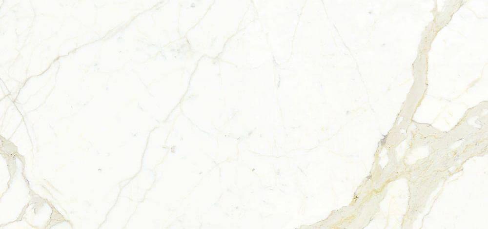 Graniti Fiandre Marmi Maximum Calacatta Levigato 154x328