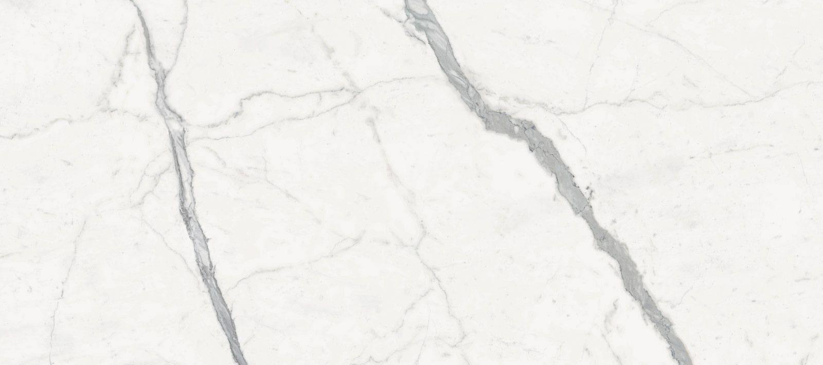 Graniti Fiandre Marmi Maximum Calacatta Statuario Honed 120x270