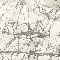 Плитка Graniti Fiandre Marmi Maximum Invisible Honed 120x120 см, поверхность полуматовая