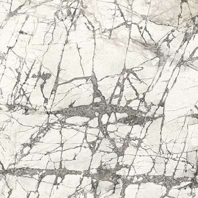 Graniti Fiandre Marmi Maximum Invisible Honed 120x120