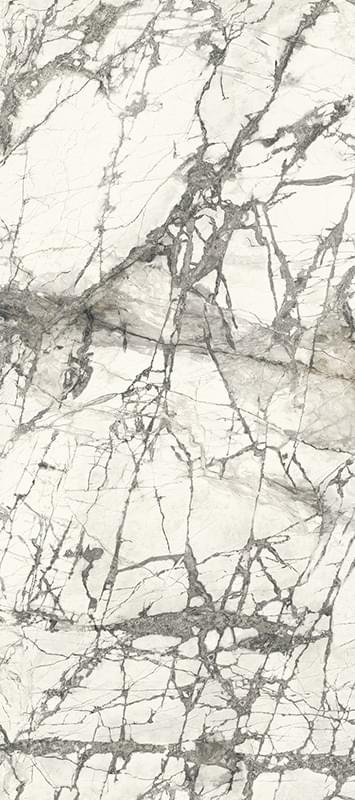 Graniti Fiandre Marmi Maximum Invisible Honed 120x270