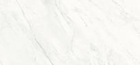 Плитка Graniti Fiandre Marmi Maximum Premium White Levigato 154x328 см, поверхность полированная