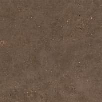 Плитка Graniti Fiandre Solida Brown Honed 100x100 см, поверхность полуматовая