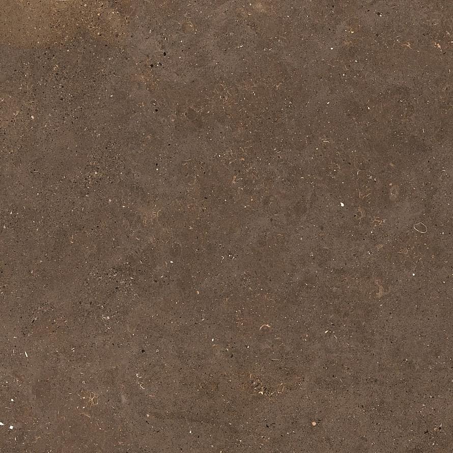 Graniti Fiandre Solida Brown Honed 60x60