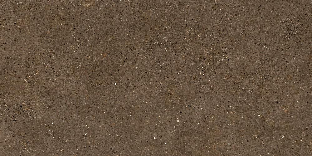 Graniti Fiandre Solida Brown Prelucidato 30x60