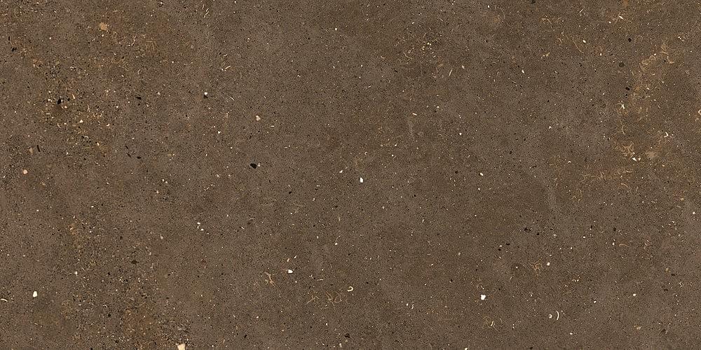 Graniti Fiandre Solida Brown Prelucidato 60x120