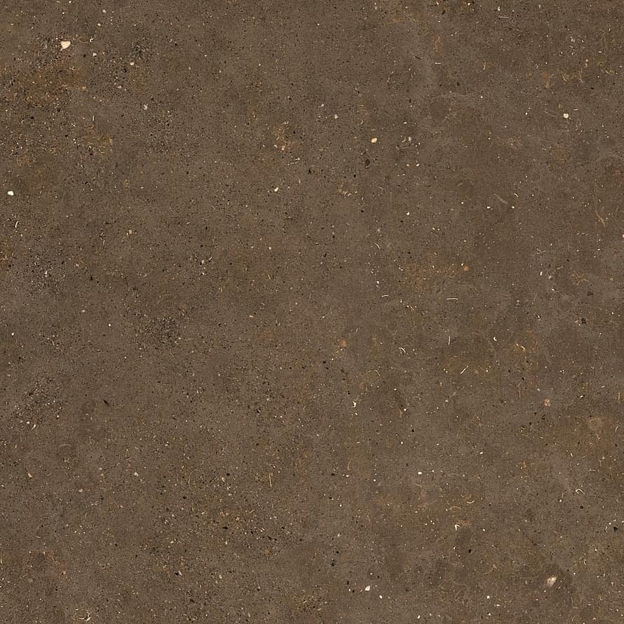 Graniti Fiandre Solida Brown Strutturato 100x100