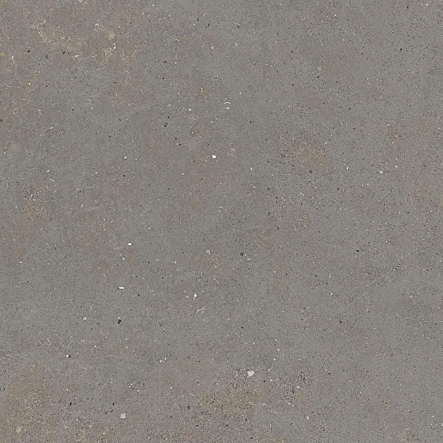 Graniti Fiandre Solida Grey Prelucidato 60x60