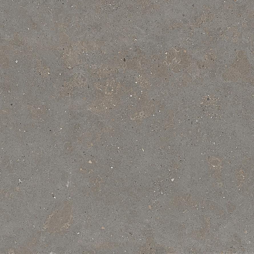 Graniti Fiandre Solida Grey Strutturato 100x100
