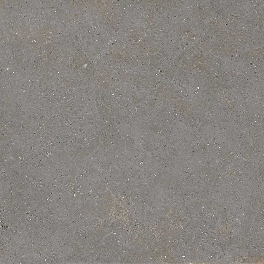 Graniti Fiandre Solida Grey Strutturato 60x60
