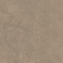 Плитка Graniti Fiandre Solida Nut Honed 100x100 см, поверхность полуматовая