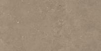 Плитка Graniti Fiandre Solida Nut Honed 30x60 см, поверхность полуматовая