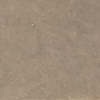 Плитка Graniti Fiandre Solida Nut Prelucidato 100x100 см, поверхность полуполированная