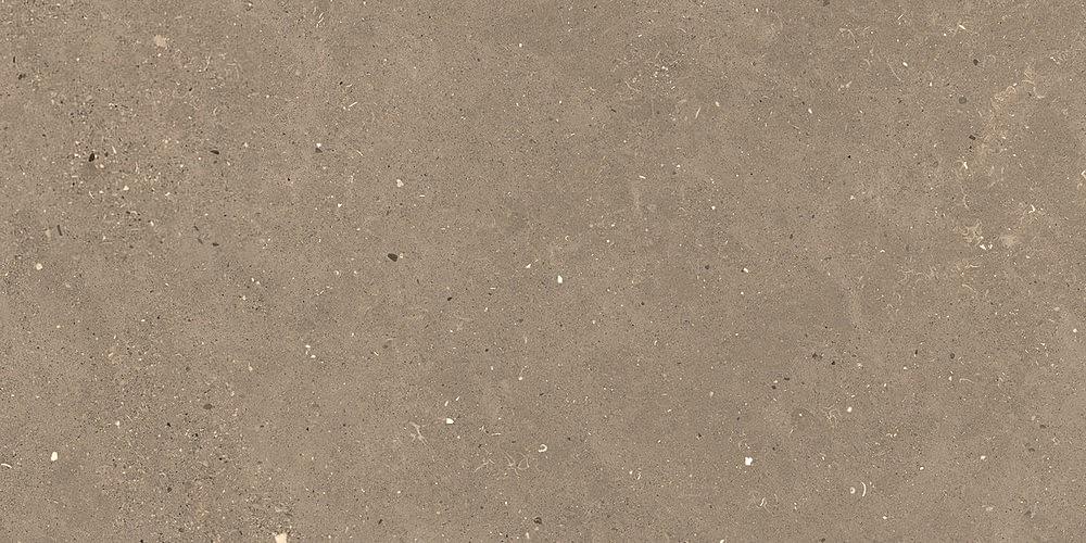 Graniti Fiandre Solida Nut Prelucidato 60x120