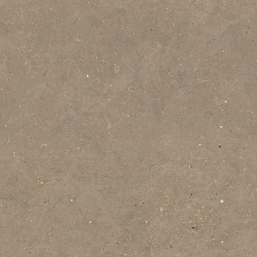 Graniti Fiandre Solida Nut Strutturato 100x100