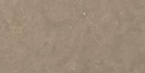 Плитка Graniti Fiandre Solida Nut Strutturato 30x60 см, поверхность матовая, рельефная