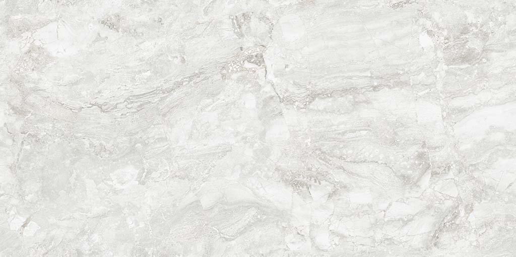 Gravita Rizi Silver Carving 60x120 Gravita Rizi Silver Carving 60x120
