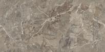 Плитка Gresant Infinia Breccia Boreale Brown 60x120 см, поверхность полированная