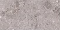 Плитка Grespania Artic Gris Natural 60x120 см, поверхность матовая
