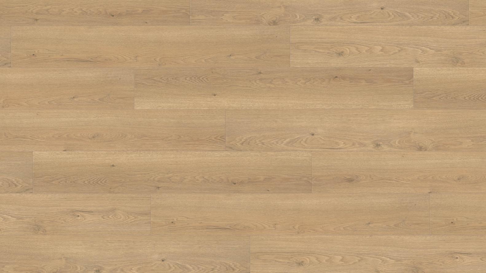 Haro Tritty 100 Gran Via Дуб Флавия Пуро 24.3x220 Haro Tritty 100 Gran Via Дуб Флавия Пуро 24.3x220
