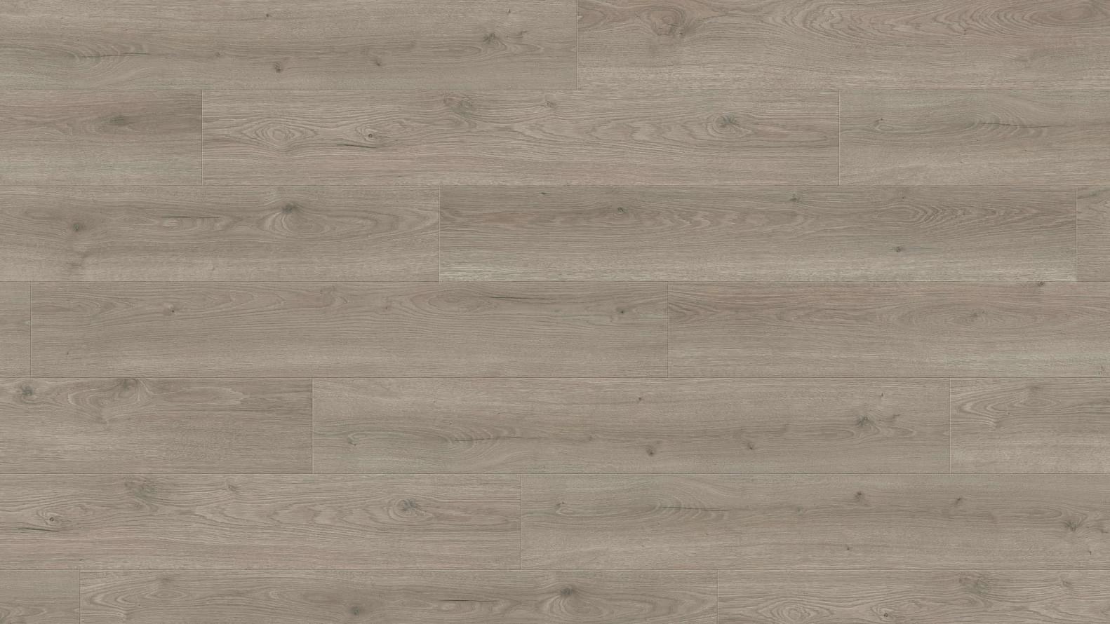 Haro Tritty 100 Gran Via Дуб Флавия Серый 24.3x220 Haro Tritty 100 Gran Via Дуб Флавия Серый 24.3x220