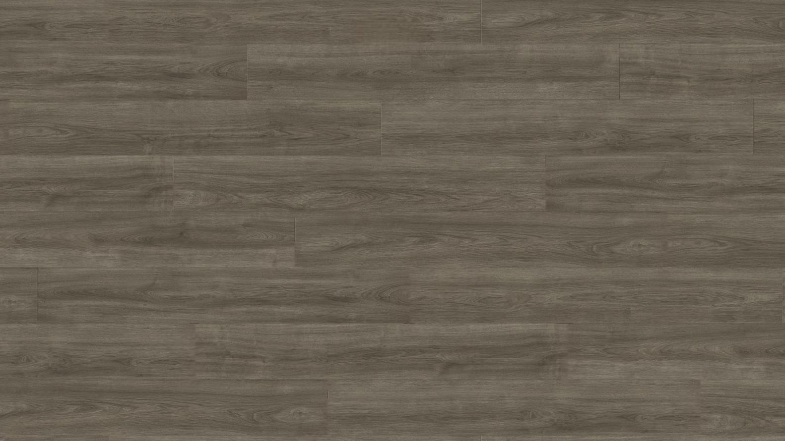 Haro Tritty 100 Gran Via Дуб Элеганза Античный Серый 24.3x220 Haro Tritty 100 Gran Via Дуб Элеганза Античный Серый 24.3x220