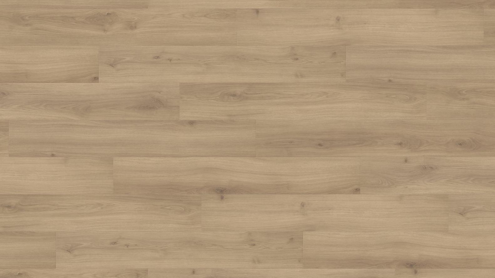 Haro Tritty 100 Gran Via Дуб Эмилия Пуро 24.3x220 Haro Tritty 100 Gran Via Дуб Эмилия Пуро 24.3x220