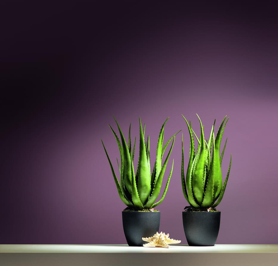 флизелин фабрики Hygge Roll коллекция Hygge