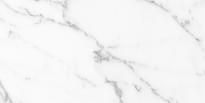 Плитка ITT Aral White Polished Rect 60x120 см, поверхность полированная