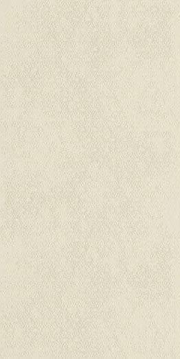 Плитка Imola Forma CHIC6 12 AV 60x120 см, поверхность матовая