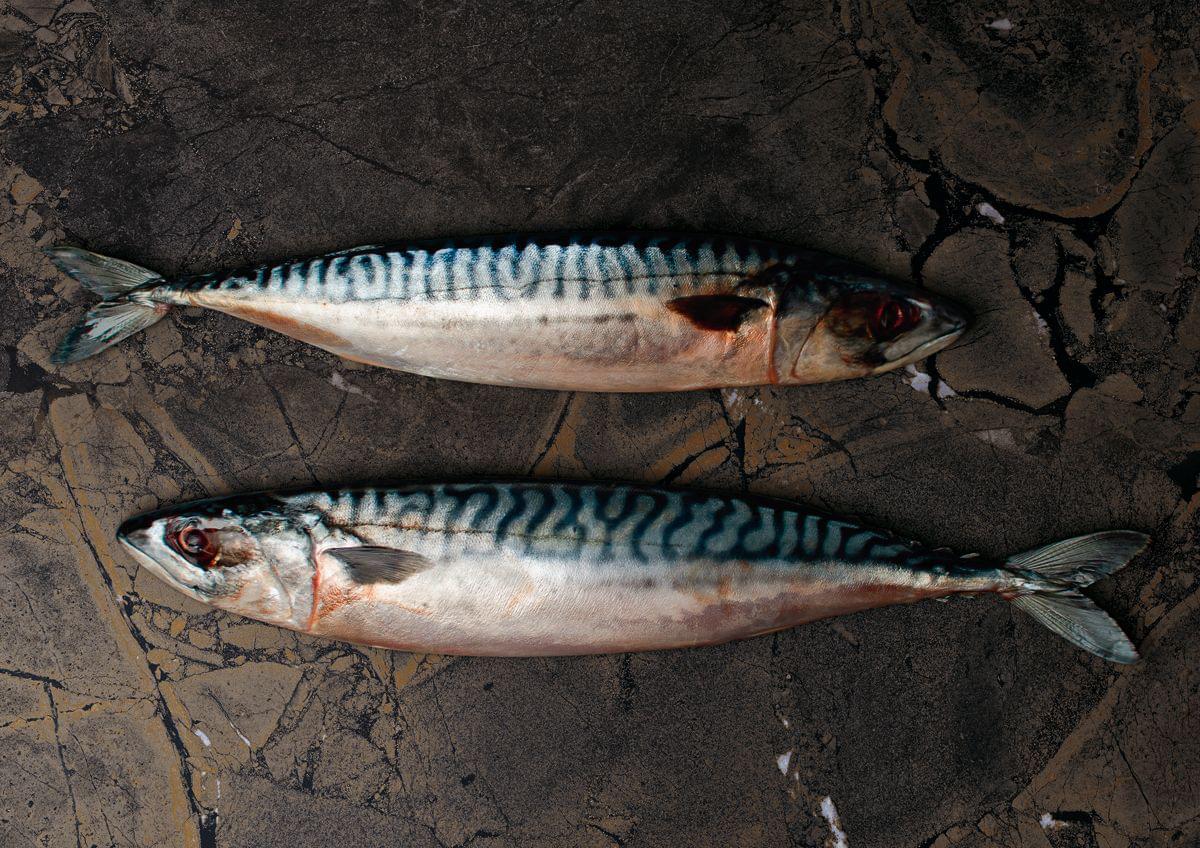 керамогранит фабрики Imola коллекция The Room