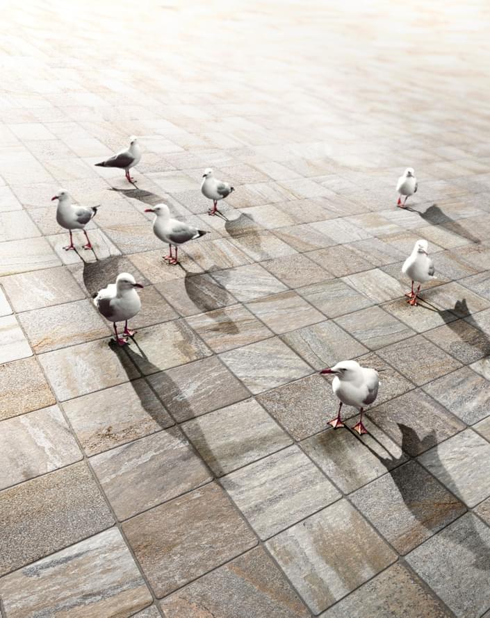 керамогранит фабрики Imola коллекция Trail 18