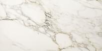 Плитка Impronta Italgraniti Marble Experience Calacatta Gold Sq 60x120 см, поверхность матовая