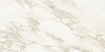 Плитка Impronta Italgraniti Marble Experience Calacatta Gold Sq Lap Sat 60x120 см, поверхность полуматовая