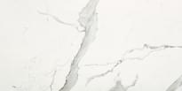 Плитка Impronta Italgraniti Marble Experience Statuario Lux Lappato 60x120 см, поверхность полированная