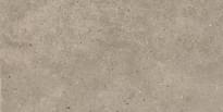 Impronta Italgraniti Silver Grain Taupe 20 mm 60x120 см поверхность матовая