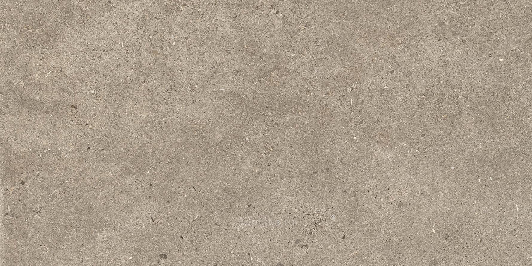 Impronta Italgraniti Silver Grain Taupe 20 mm 60x120 см поверхность матовая