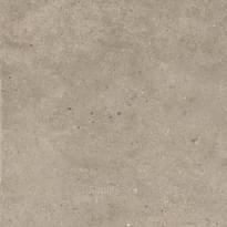 Impronta Italgraniti Silver Grain Taupe 20 mm 60x60 см поверхность матовая