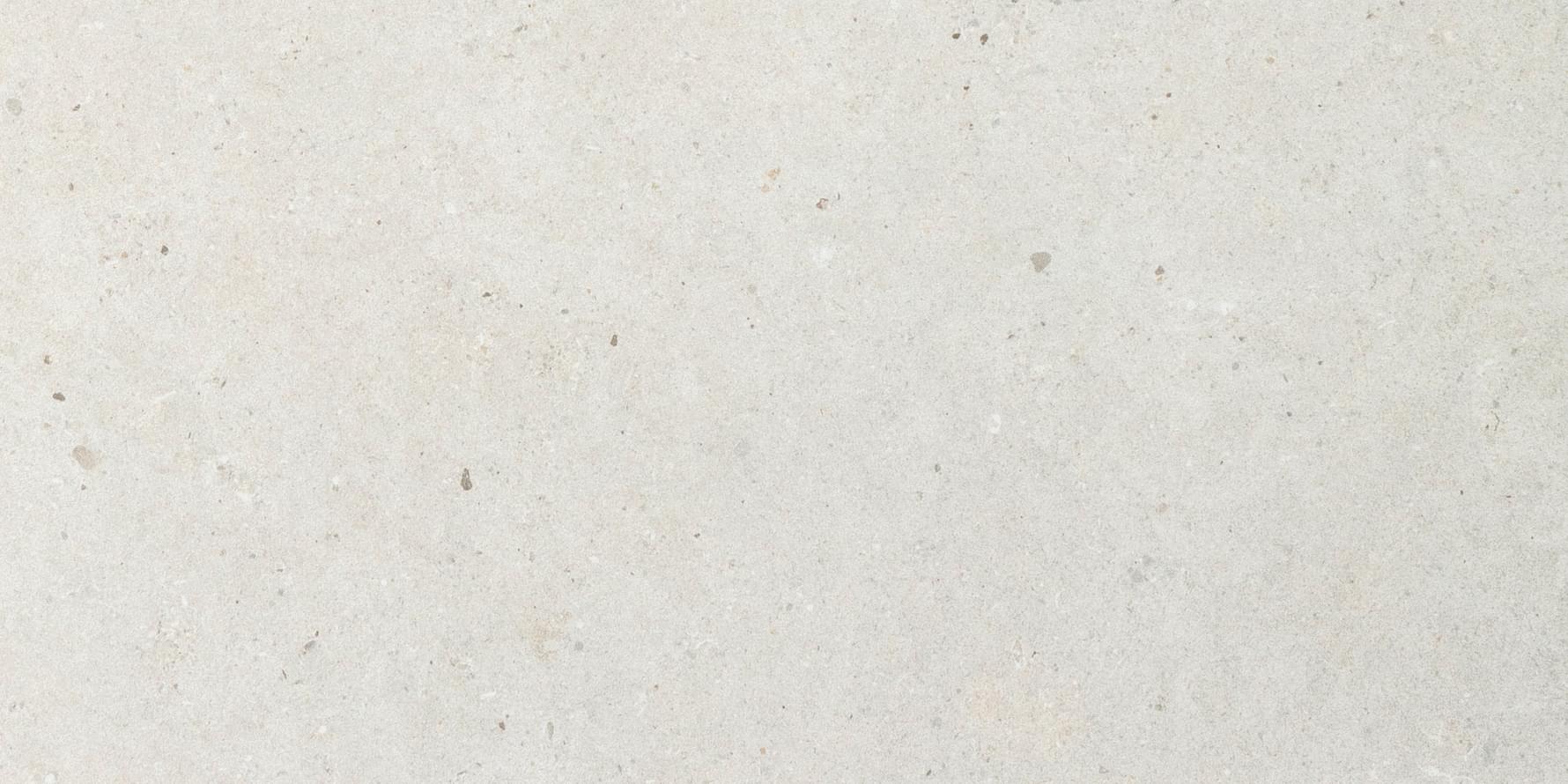 Impronta Italgraniti Silver Grain White Area Plus 60x120