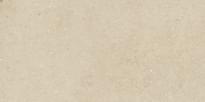 Плитка Iris Ceramica Victorian Stone Limestone Beige Natural Plus 60x120 см, поверхность матовая