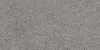 Плитка Iris Ceramica Victorian Stone Silver Grey Natural Plus 60x120 см, поверхность матовая