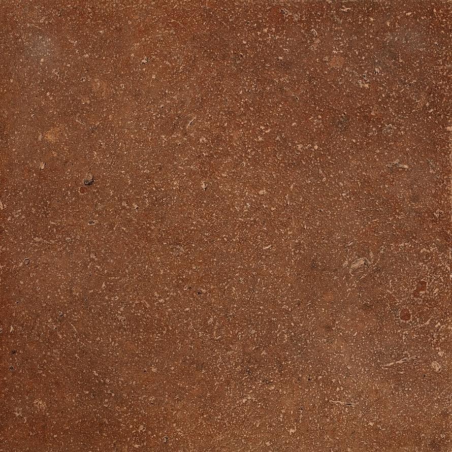 Isla Pomposa Siena 20x20