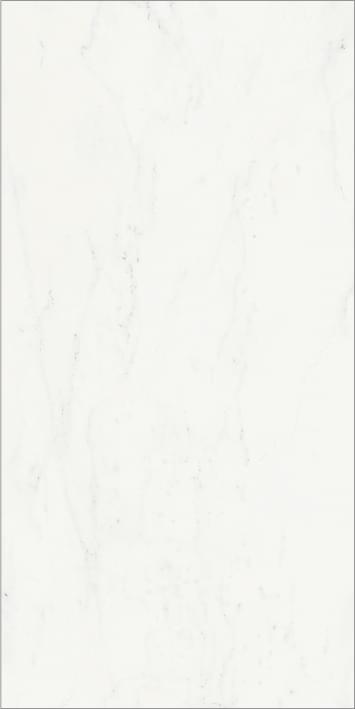 Italon Charme Deluxe Bianco Michelangelo Cerato 60x120