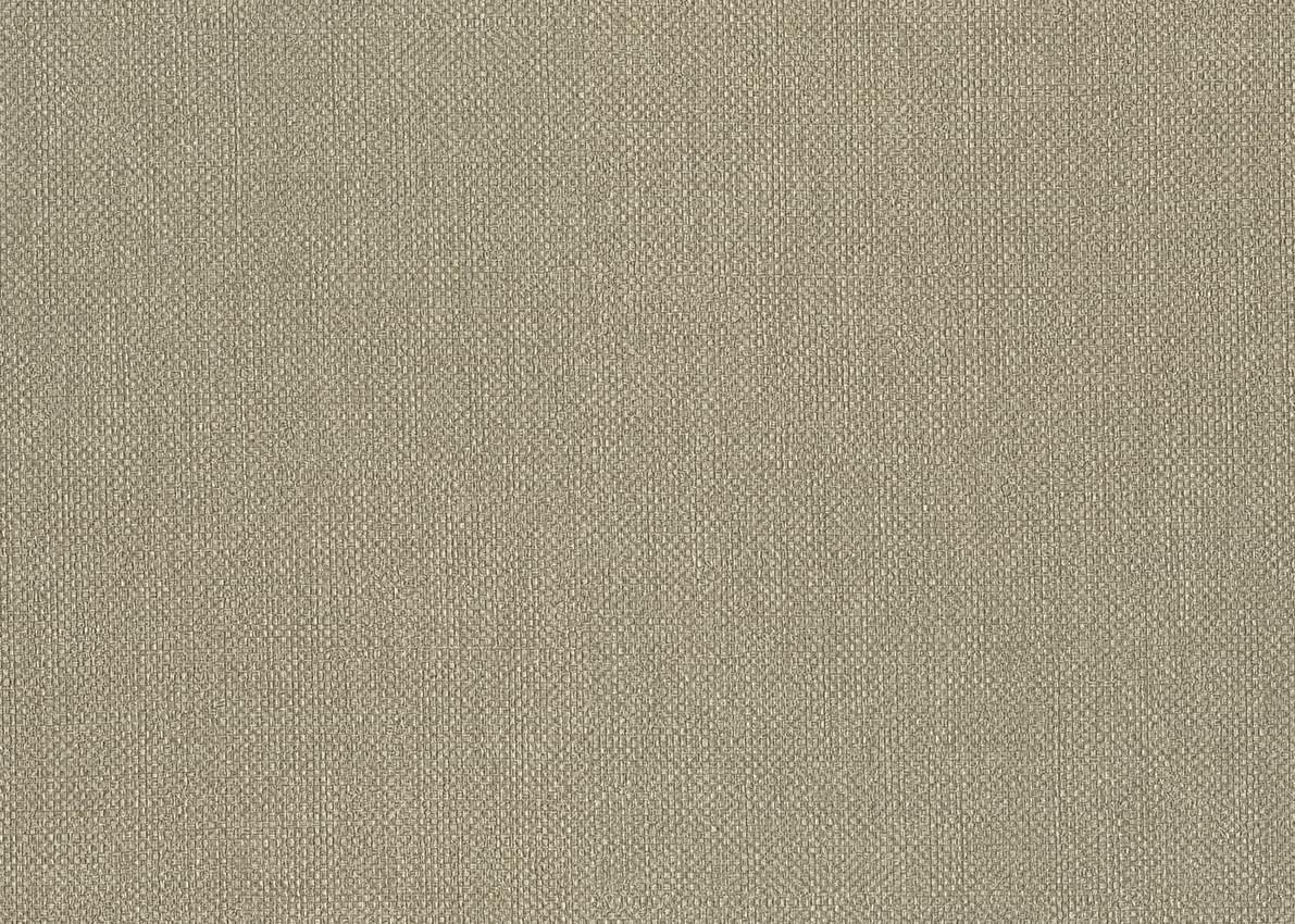 Jannelli And Volpi JV181 Lemuria 6552 JV Baobab 10.05x70 Jannelli And Volpi JV181 Lemuria 6552 JV Baobab 10.05x70
