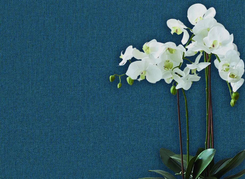 обои фабрики Jannelli And Volpi коллекция JV181 Lemuria