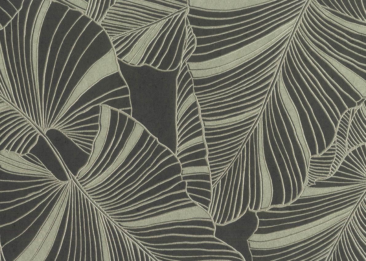 Jannelli And Volpi JV503 Botanical 5811 Laurus 10.05x70 Jannelli And Volpi JV503 Botanical 5811 Laurus 10.05x70