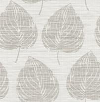 KT Exclusive Grasseffects II JC30306 10м x 53см поверхность